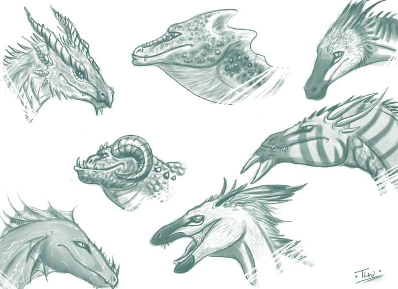 792x576 Dragon Head Sketches By Caerulai