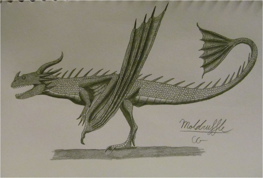 1023x695 Images Of Dragons To Draw Fantastic Photographs Nice Dragon Head