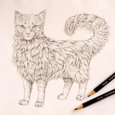 400x400 How To Draw Animals