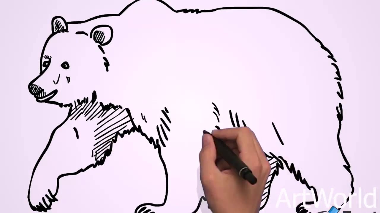 1280x720 How To Draw Animals Easy