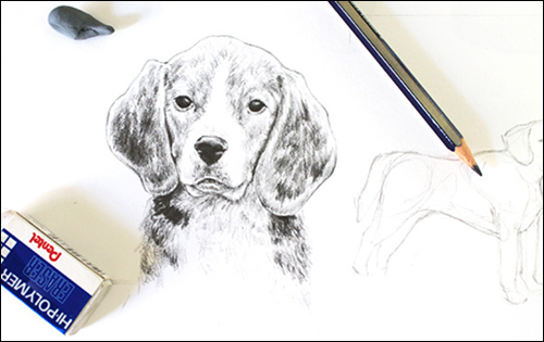 500x315 It's Another Saturday Giveaway! Get Your Free Guide To Drawing