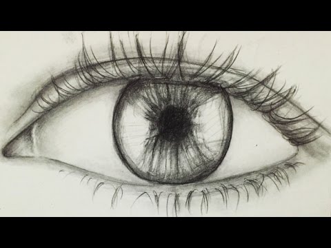 480x360 How To Draw An Eye For Beginners! Alpha Art