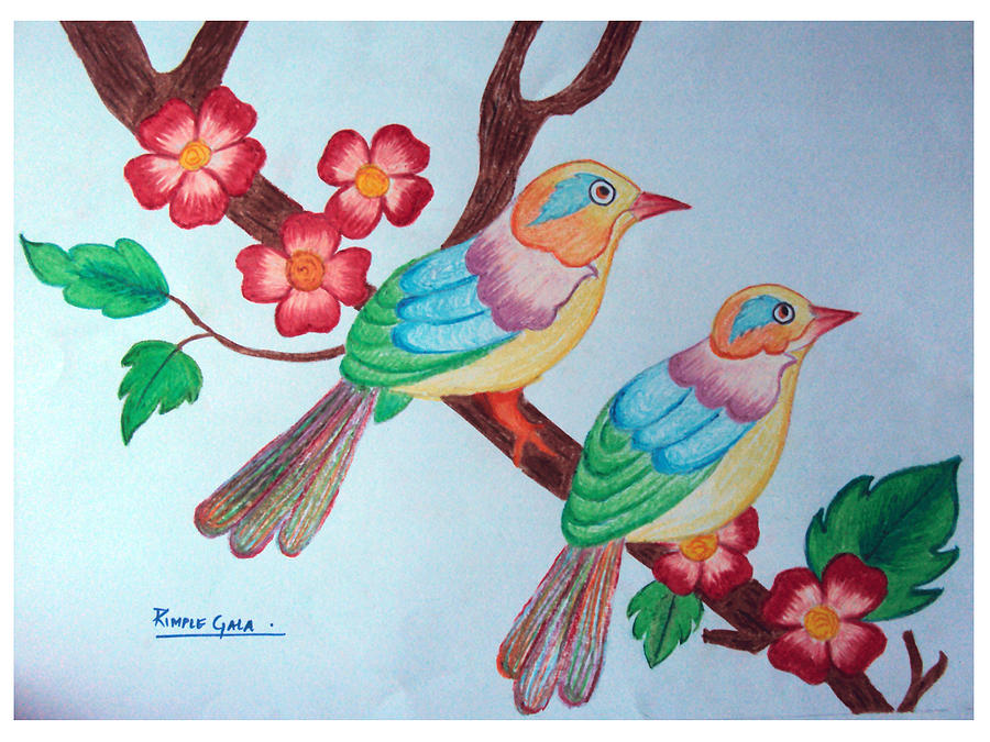900x675 Pictures Beautiful Birds Drawing Images,