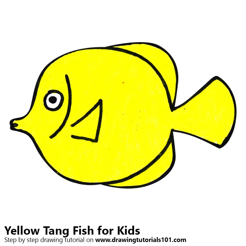 800x800 Learn How To Draw A Yellow Tang Fish For Kids (Animals For Kids
