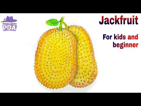 480x360 How To Draw A Jackfruit Step By Step For Kids And Beginner