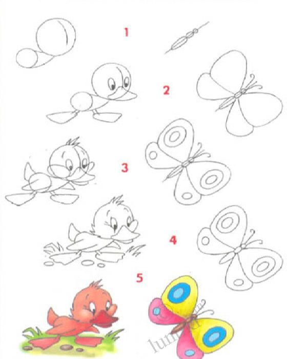 560x699 Pictures For Children To Draw. A Little Duck And A Butterfly, Step