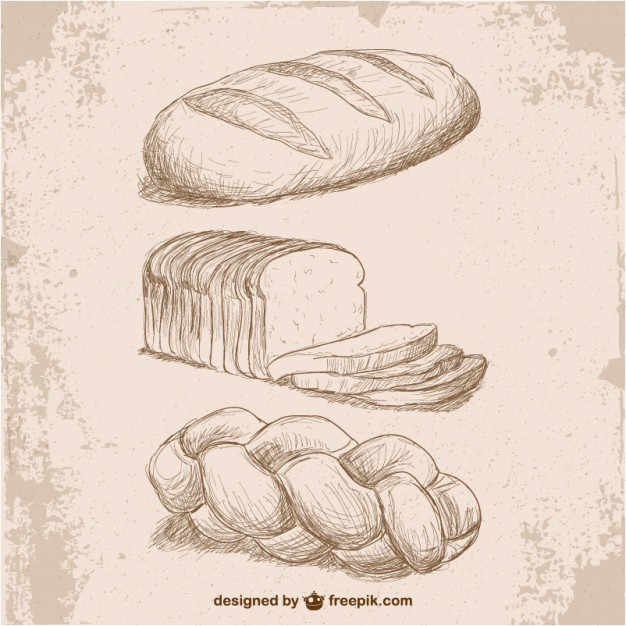 626x626 Retro Style Bread Drawings Vector Free Download
