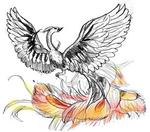 304x267 How To Draw A Fire Bird