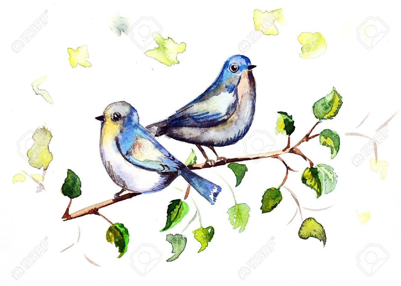 1300x926 Watercolor Drawing Birds Stock Photo, Picture And Royalty Free