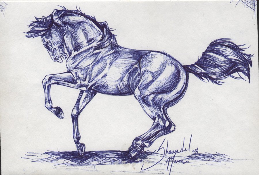 900x610 7 Horses Dancing Pen By Cincala