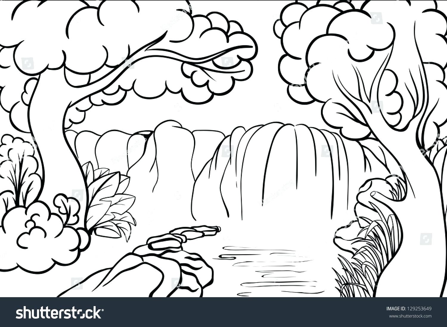 1500x1096 Rain Forest Trees Coloring Page Many Interesting Rainforest