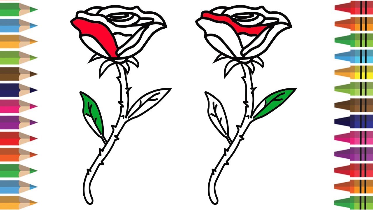 1280x720 How To Draw Rose Coloring Pages For Kids, Drawing Flowers Rainbow