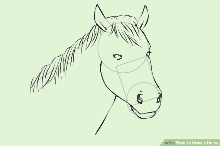 728x485 4 Ways To Draw A Horse