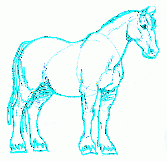 702x676 Exam Guide Online