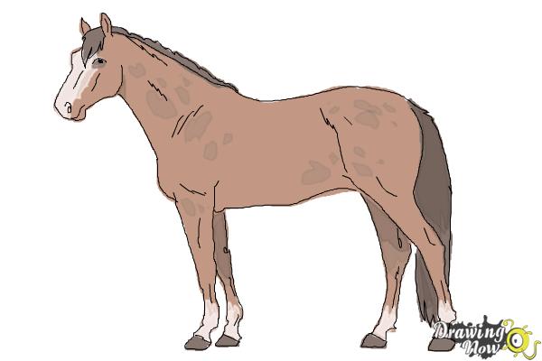 600x400 How To Draw A Realistic Horse