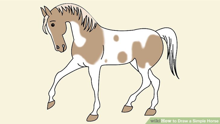 728x410 How To Draw A Simple Horse 11 Steps (With Pictures)