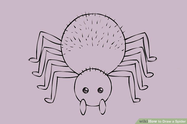 728x485 5 Ways To Draw A Spider