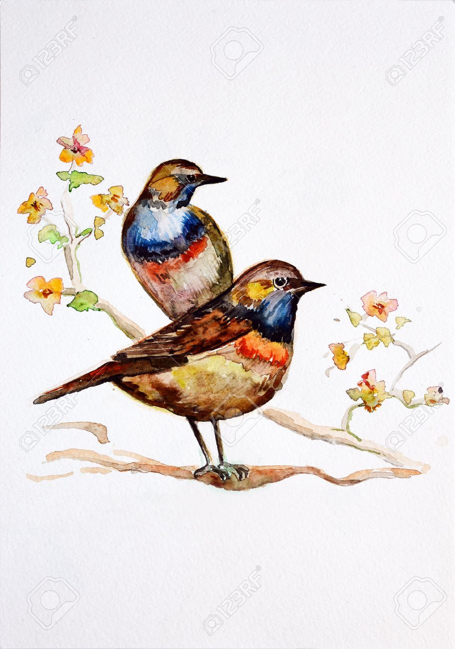 912x1300 Watercolor Drawing Birds Stock Photo, Picture And Royalty Free