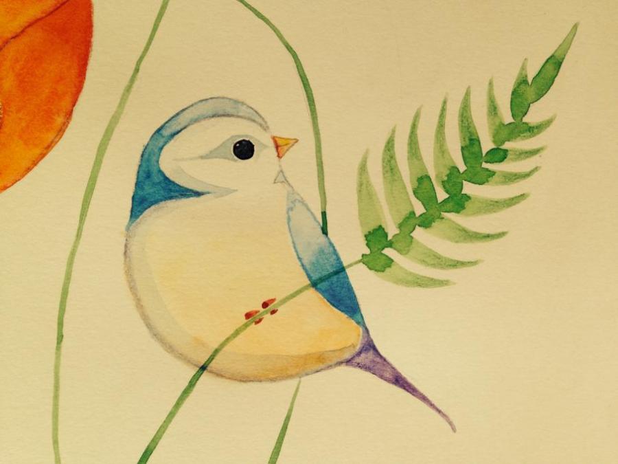 900x675 Bird. Birds. Drawings. Pictures. Drawings Ideas For Kids. Easy