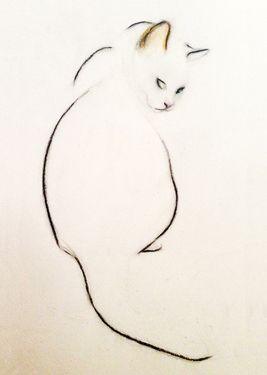267x375 174 Best Line Drawings (Catsdogs) Images On Drawings