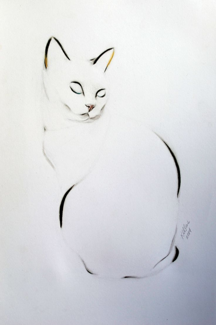 736x1106 Pencil Sketches Of Cats Love Best Drawings Of Cats Ideas
