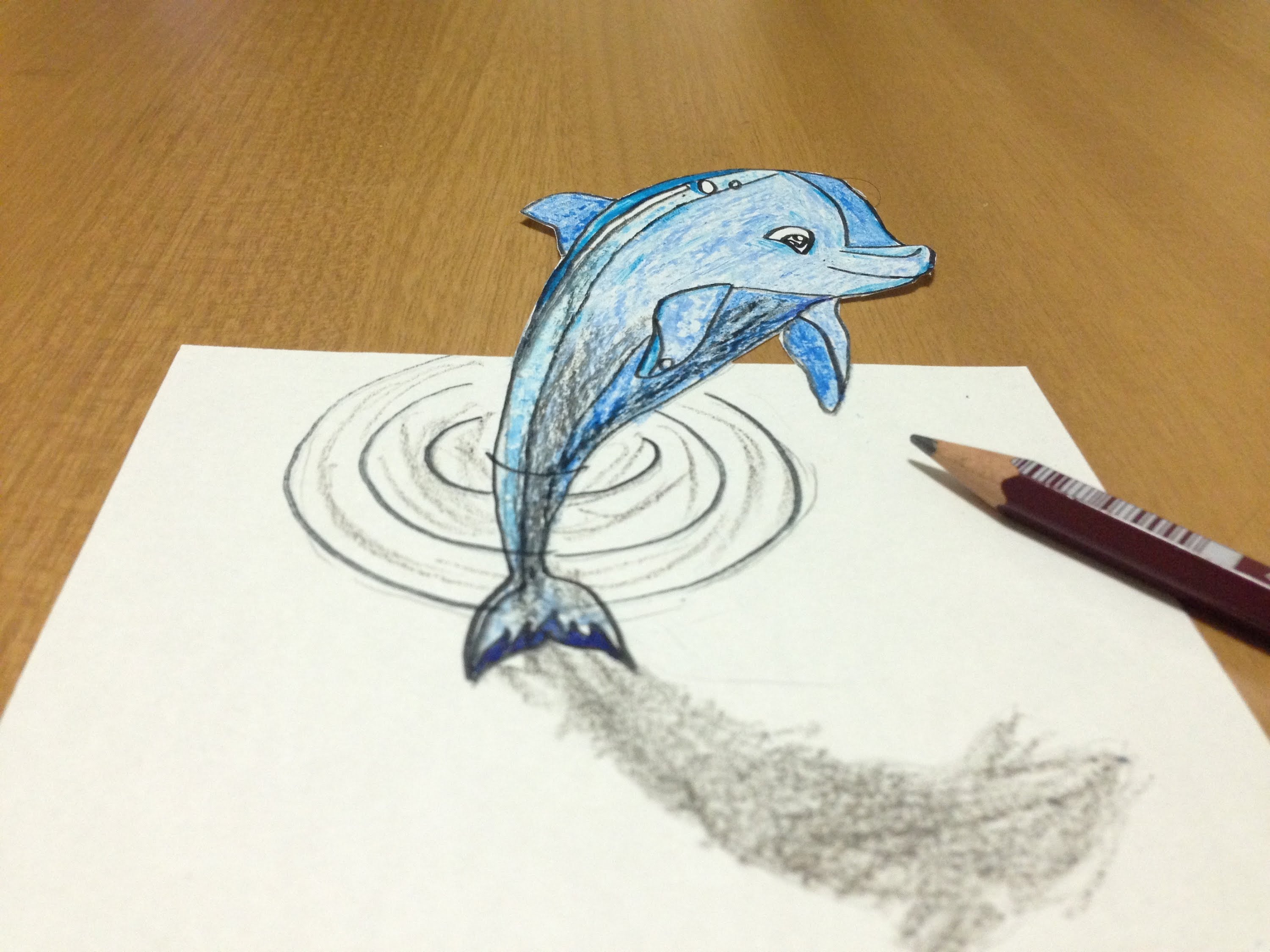 3000x2250 3d Dolphin Drawing