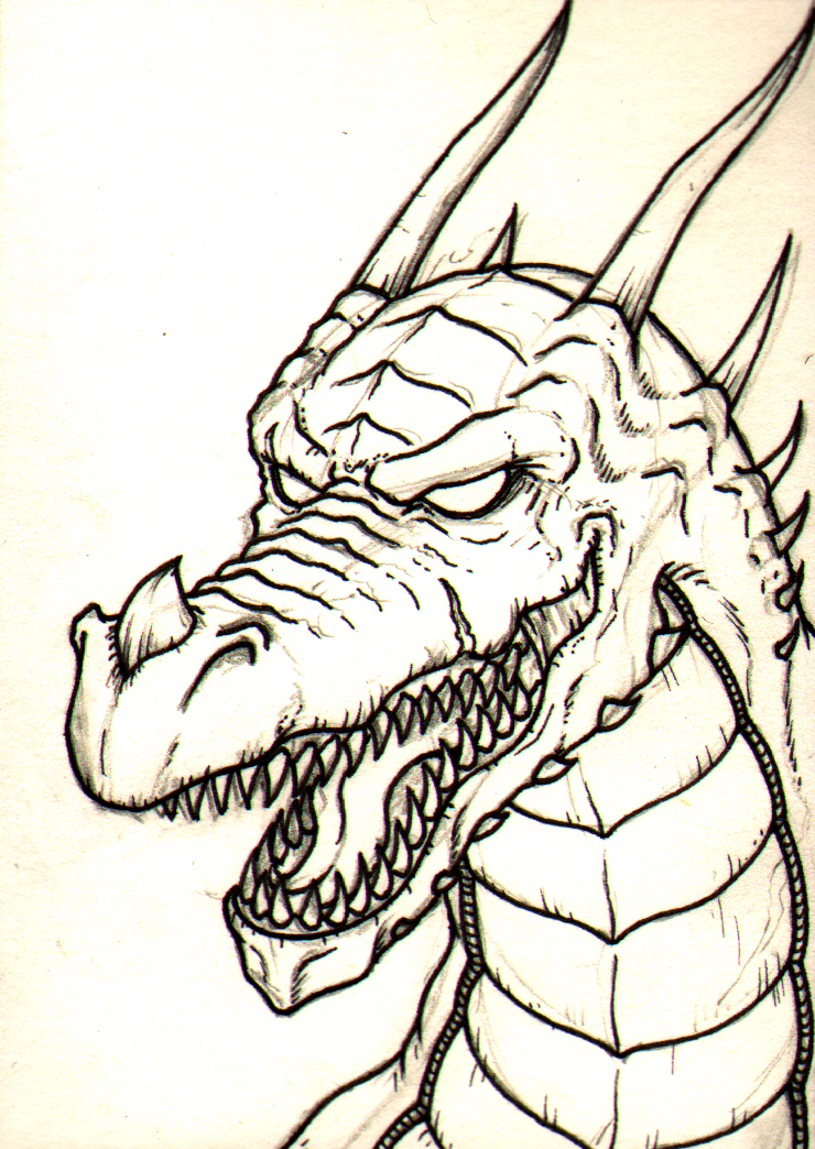 740x1044 Copy Of Dragons