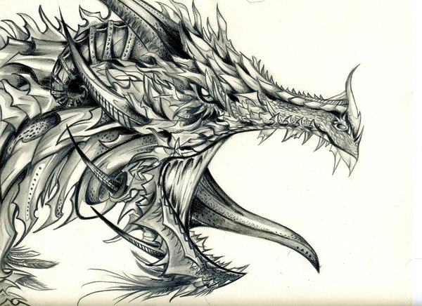 600x436 Dragon  By Phantomseptember