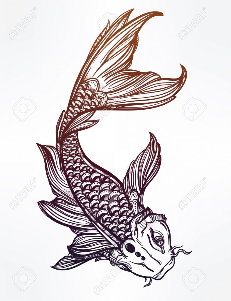 787x1024 Koi Fish Drawing Koi Fish Drawing Images Stock Pictures Royalty