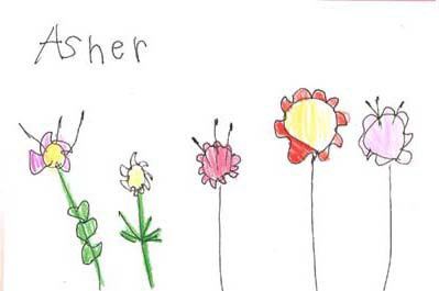 399x265 Drawing Flowers