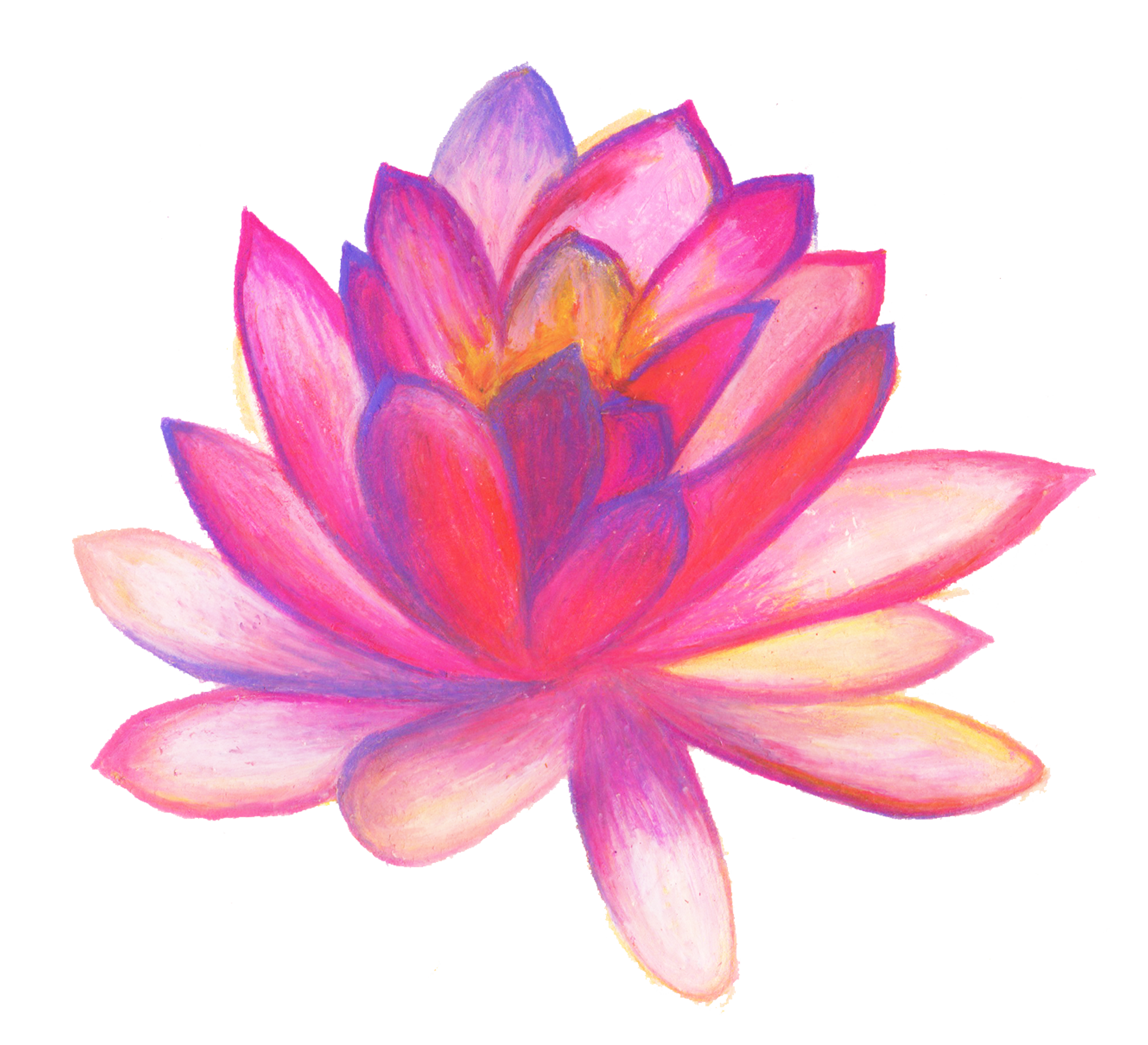 2004x1824 Poster Hand Drawn Flower With Text Hand Drawn Flowers, Draw