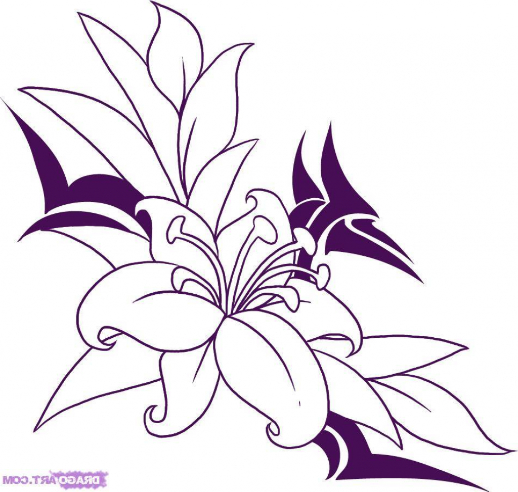 1024x973 Drawing Pictures For Flowers Easy Drawing Pictures Of Flowers