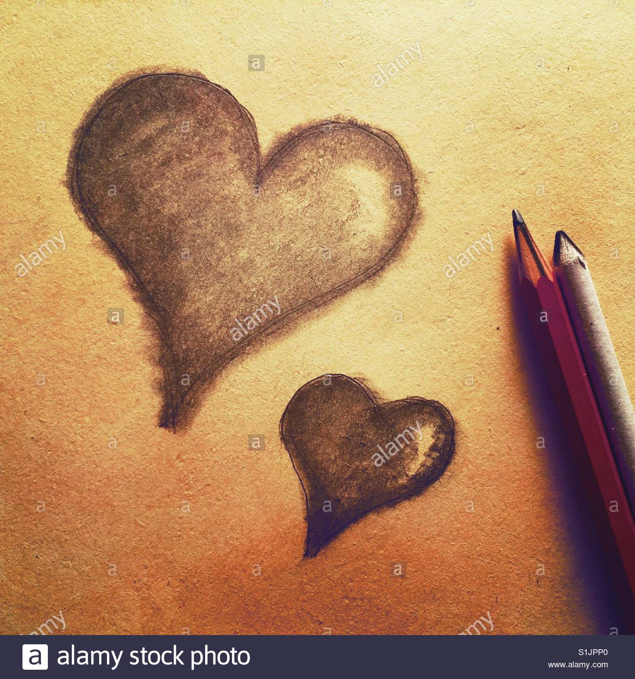 1300x1390 A Simple Pencil Drawing Of Two Hearts Stock Photo 310814280