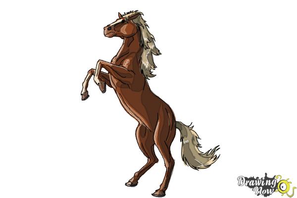 600x400 How To Draw A Horse Body
