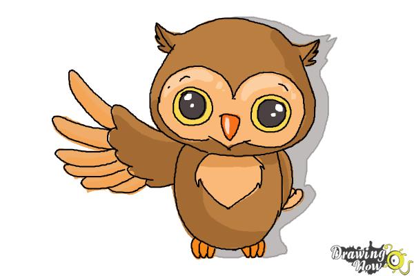 600x400 How To Draw A Cute Owl