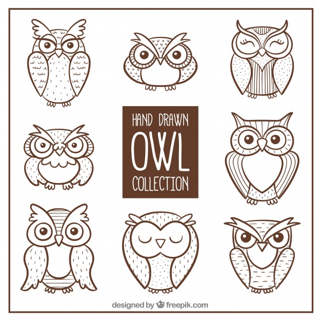 626x626 Owl Vectors, Photos And Psd Files Free Download