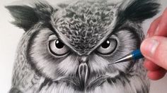 236x132 How To Draw An Owl Step By Step How To Draw Owl