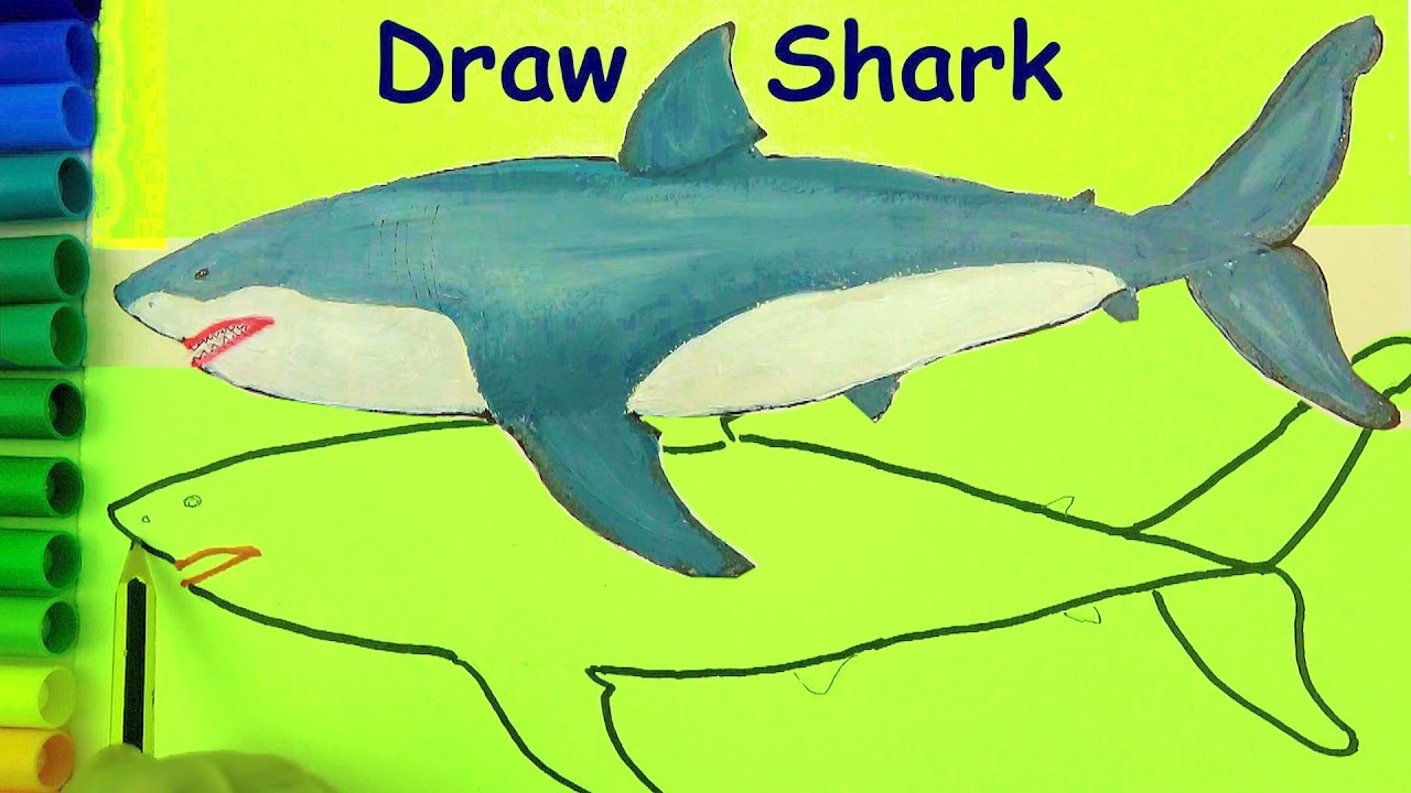 1280x720 Draw Sharks