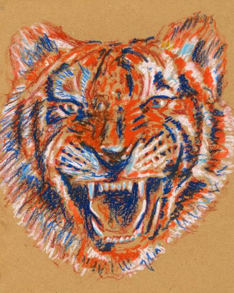 480x600 How To Draw A Tiger