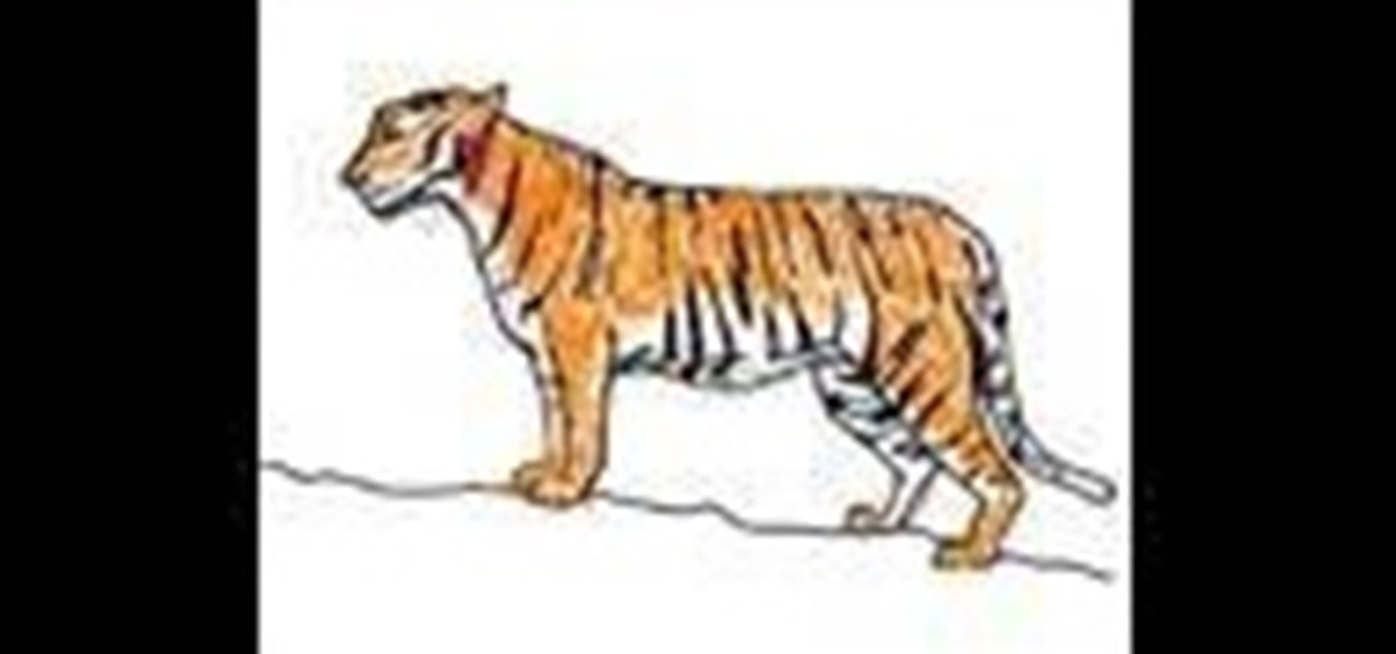 1280x600 How To Draw And Color A Simple Tiger (Tigre) Drawing