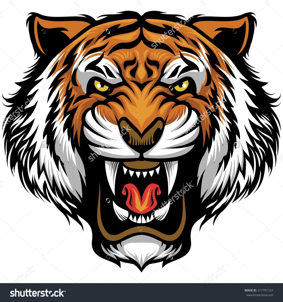 960x1024 Tiger Face Drawing Tiger Face Stock Photos Images Amp Pictures