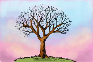 300x200 How To Draw A Tree Without Leaves
