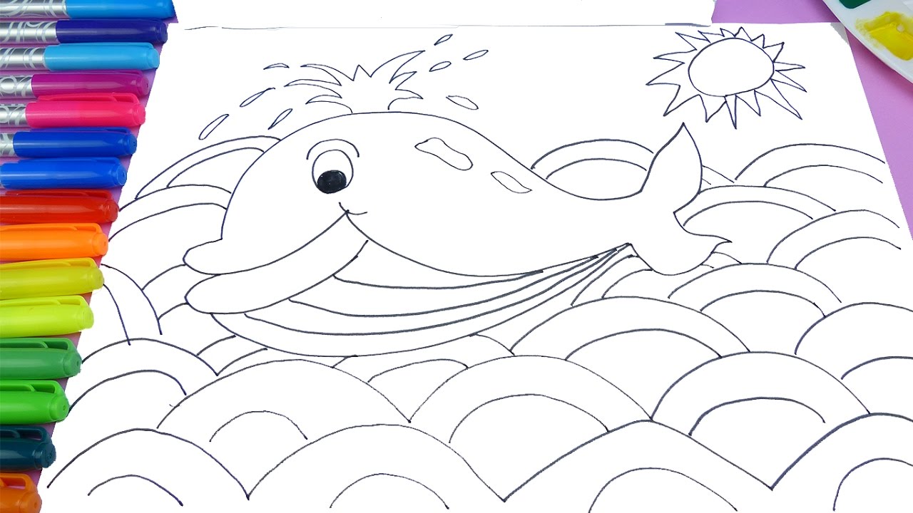 1280x720 Learn Colors Whale Coloring Page Learn To Draw And Paint For Kids