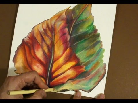 480x360 Speed Painting