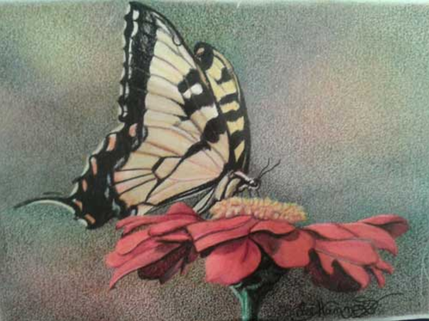 623x467 This Drawing Medium Isn'T Just For Kids