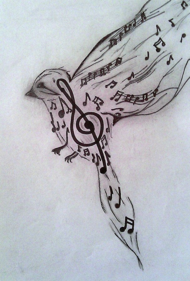 610x902 Art, Bird, Black, Clef, Draw, Drawings, Music, Pencil, White