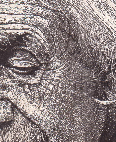 392x480 Excellent Texture Drawing