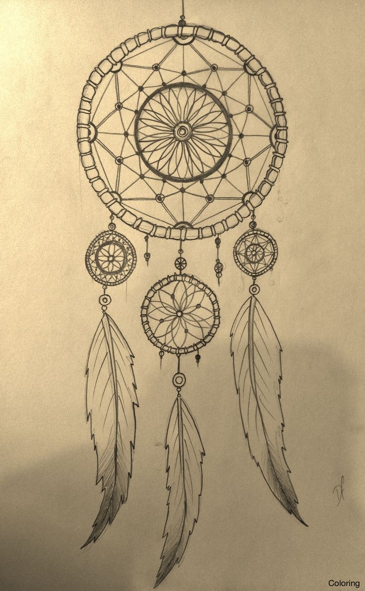 736x1191 Dreamcatcher Pencil Drawing Artisan Drawings Of Dreamcatchers