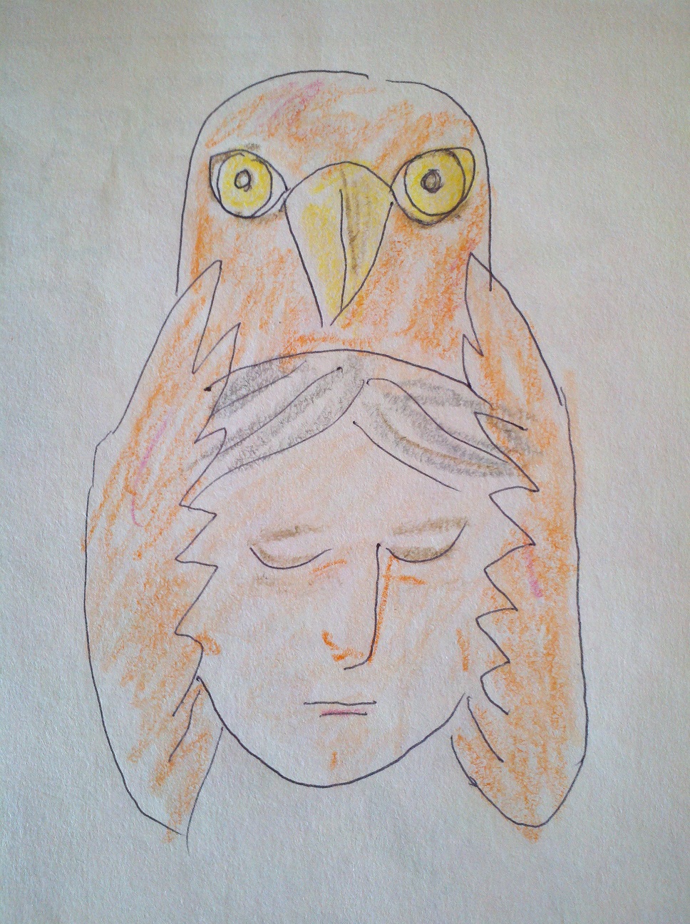 968x1296 Seeing With Hawk Amp Other Dream Drawings