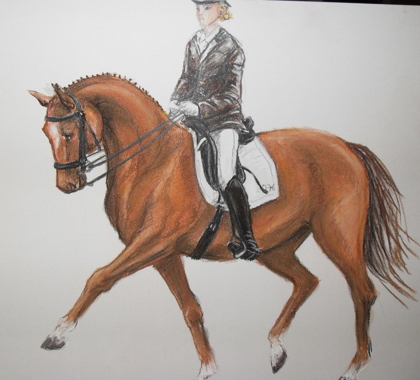 848x768 Drawing A Horse